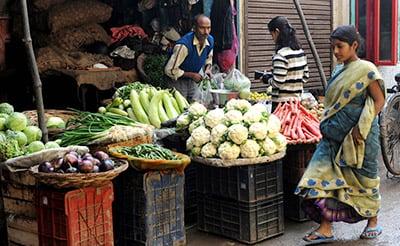 Editorial: Lessons From The Economics Nobel