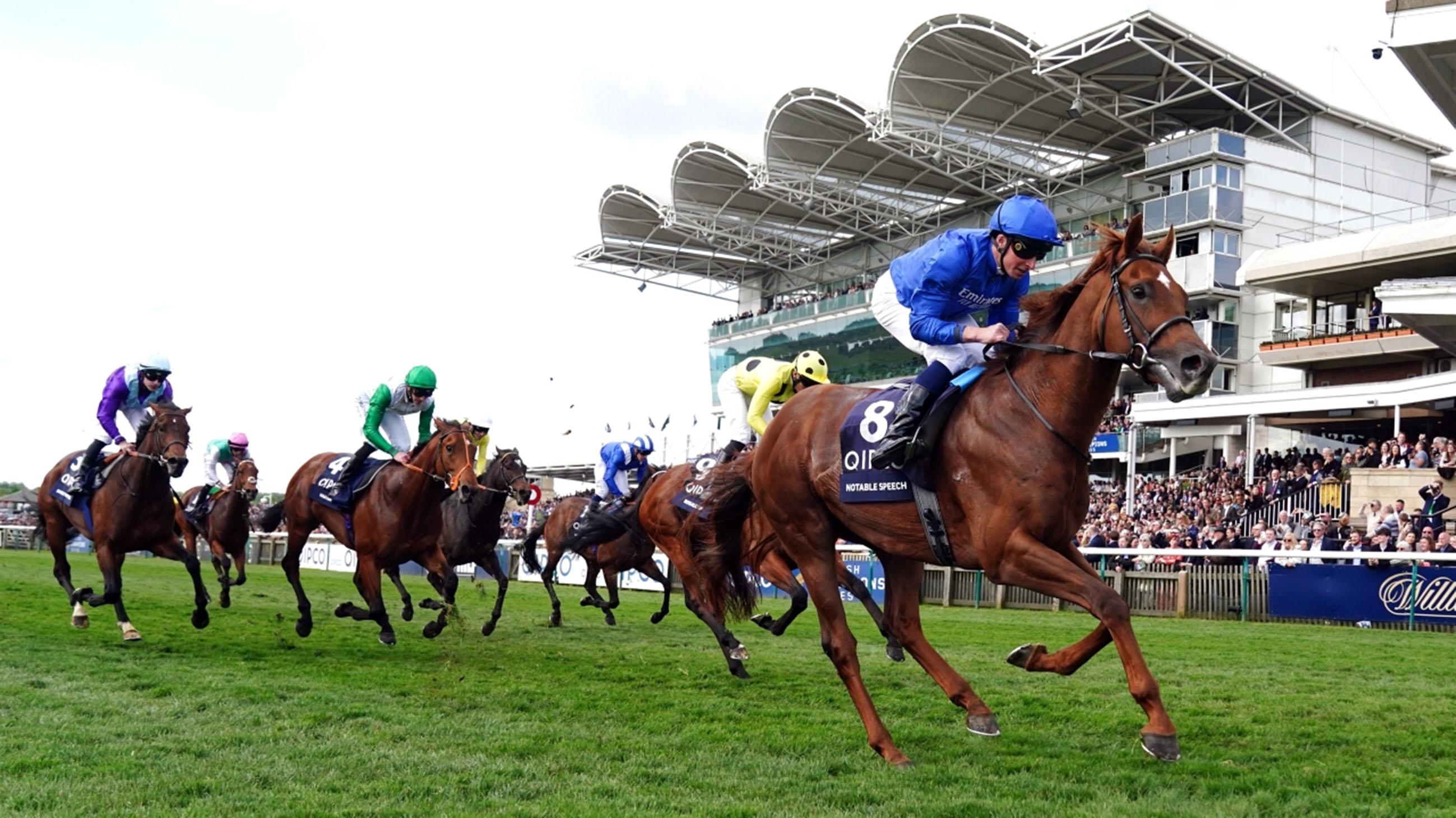 “Godolphin” is champion of “horse owners” in Britain for the 16th time