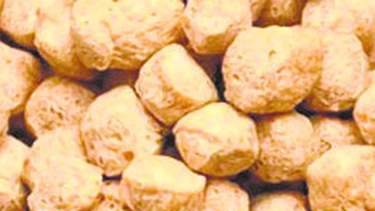 Iran demand boosts India’s soyameal exports during oil year 2023-24