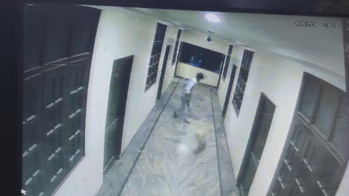 Man falls to death chasing dog on third floor of hotel in Hyderabad