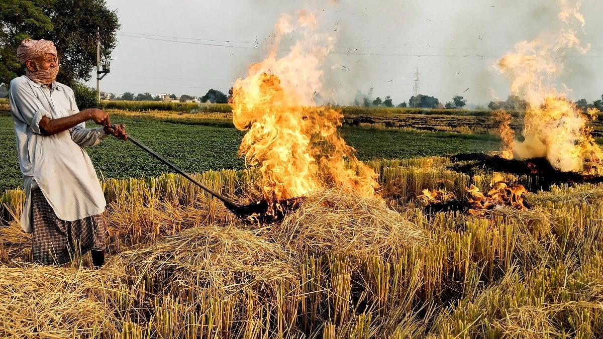 14 Haryana farmers arrested for burning stubble after Supreme Court rap