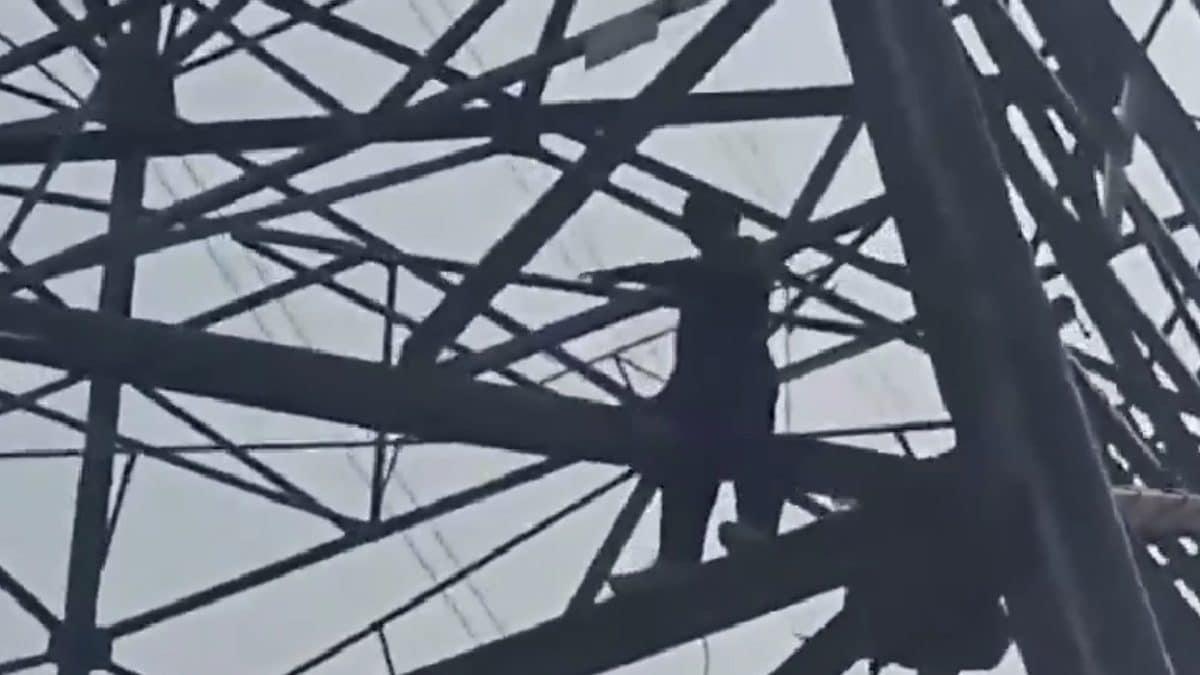 Man Climbs High-Voltage Electricity Pole In Delhi, Rescued