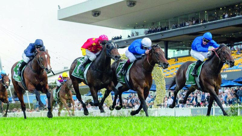 “Godolphin” horses chase “Class One” races in Australia and Britain