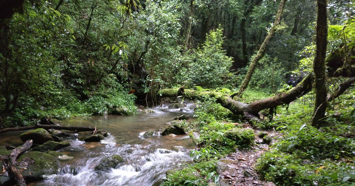 MPPSC SFS interview schedule out at mppsc.mp.gov.in; check details here