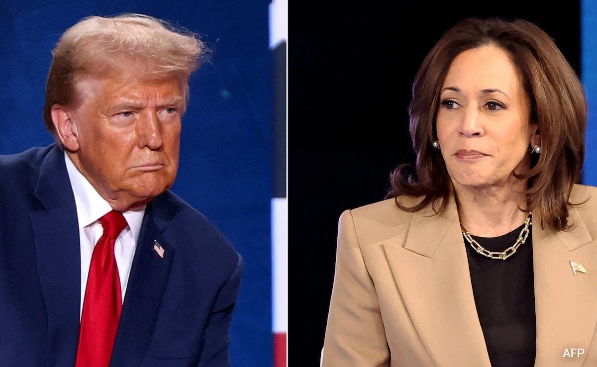 7 Key States That May Decide Kamala Harris, Donald Trump's Fate