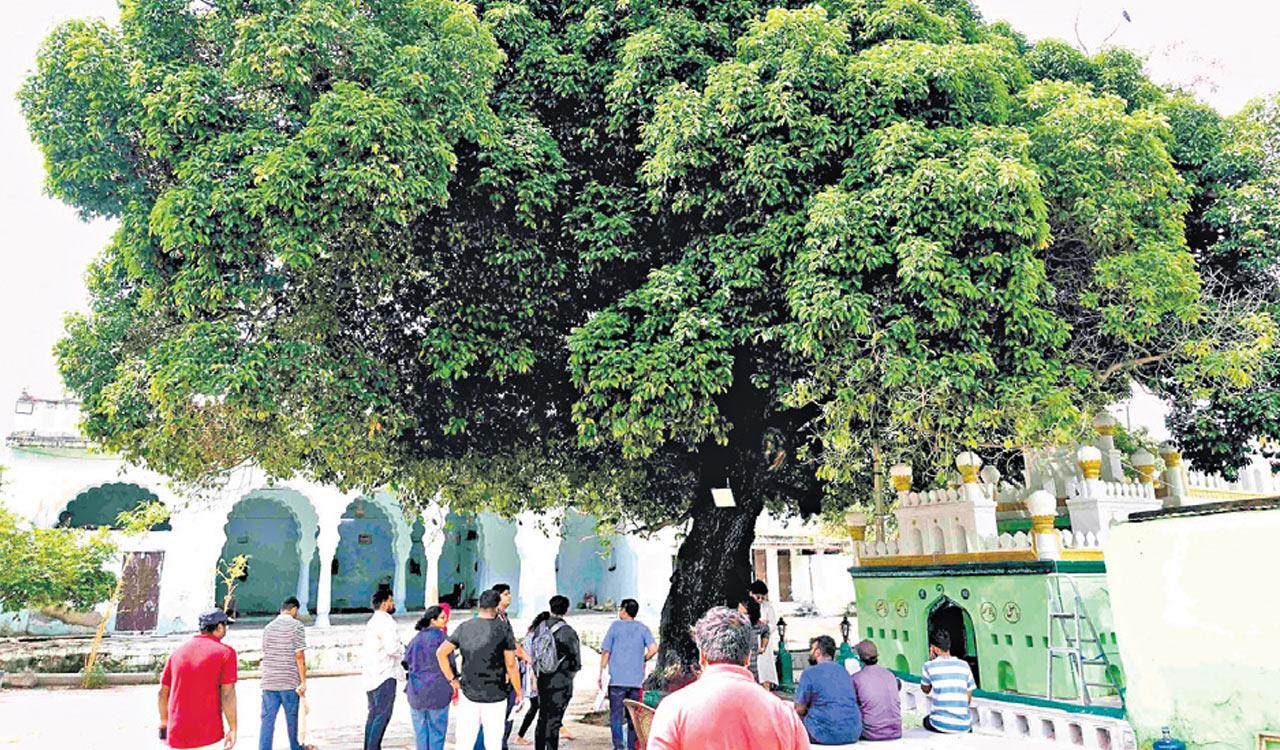 Bibi-Ka-Chashma, a hidden marvel in Hyderabad