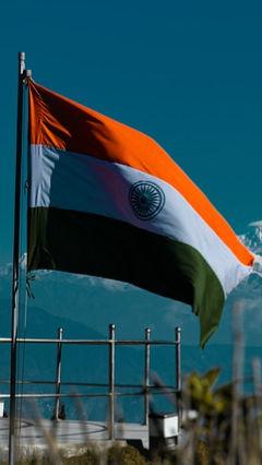 India Seniors win silver at Bridge Olympiad