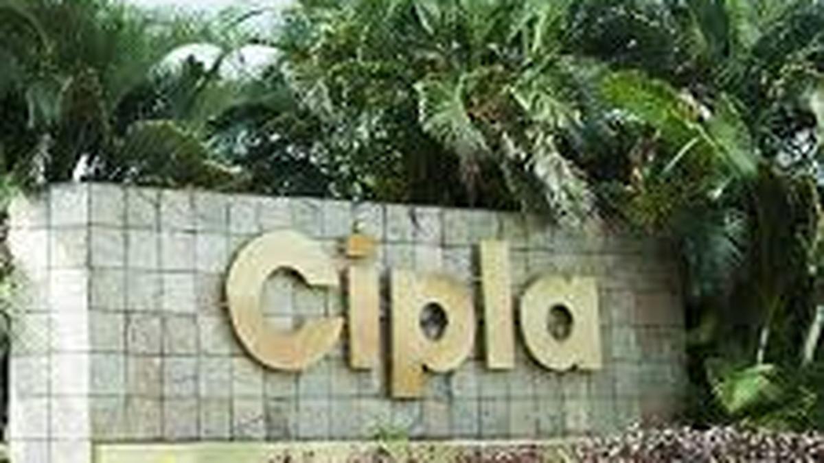 Cipla eyes rebound in ‘One India’ business despite slow seasonal growth