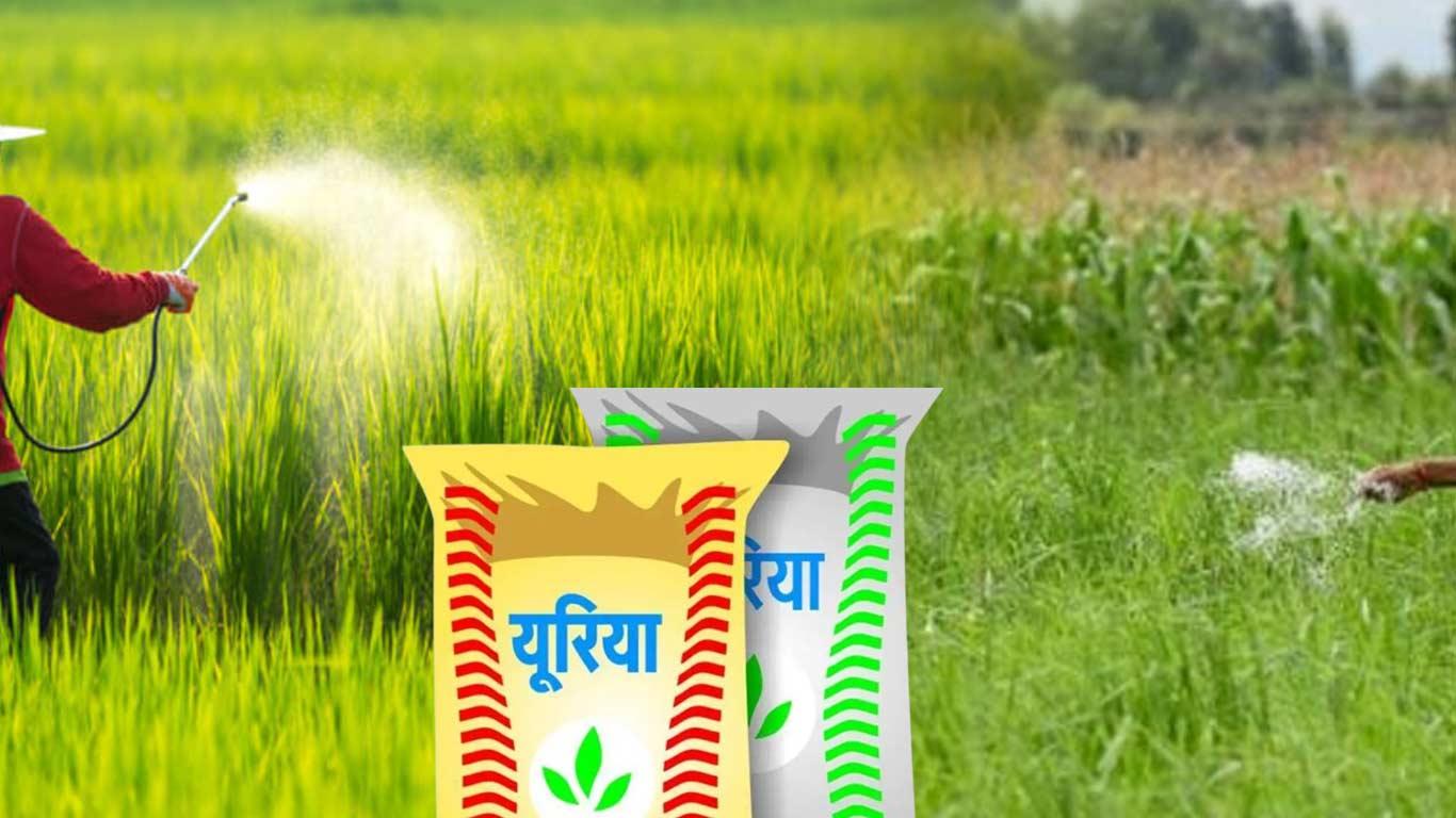 India Sets Ambitious Goal to End Urea Imports by 2025 with Green Production Initiative