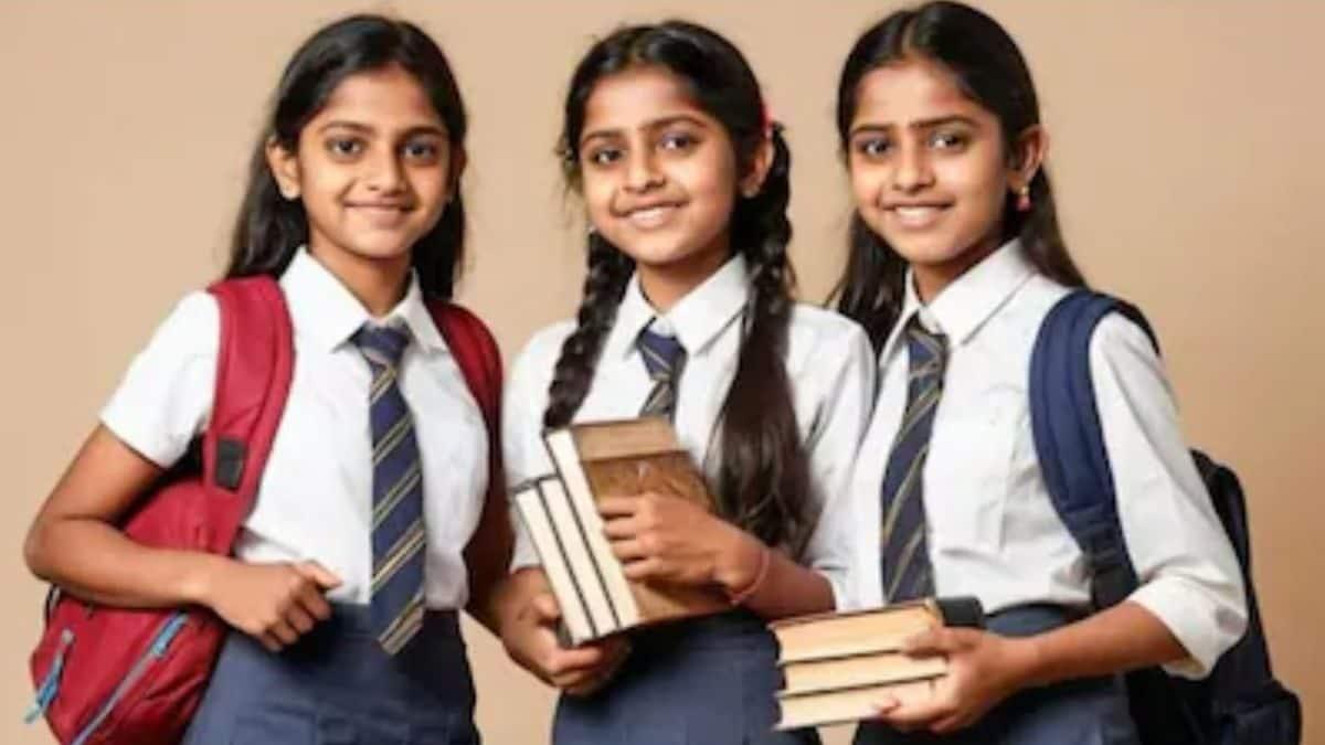 Haryana NMMSS Admit Card 2024 To Release Today; Check Steps To Download