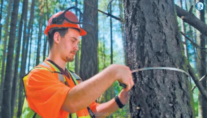 ரப்பர் போர்டில் 50 இடங்கள்