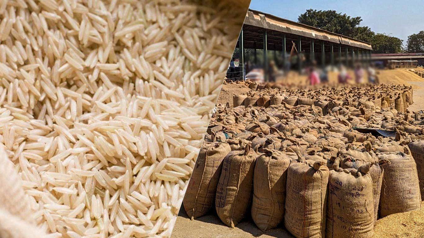 India’s Rice Surplus Hits Record High Amid Export Curbs