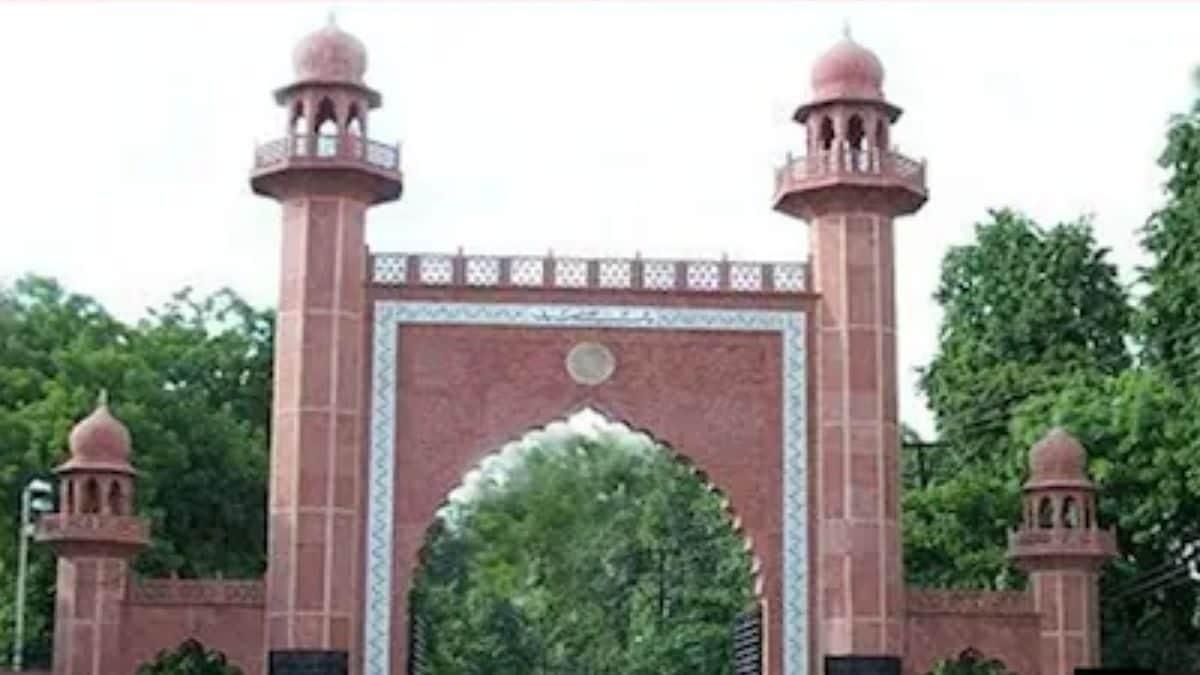 Who Is Saba Haider, The First Indian-origin Woman To Join DuPage County Board