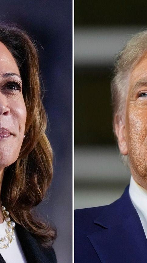Democracy Was A Motivating Factor Both Harris And Trump Voters