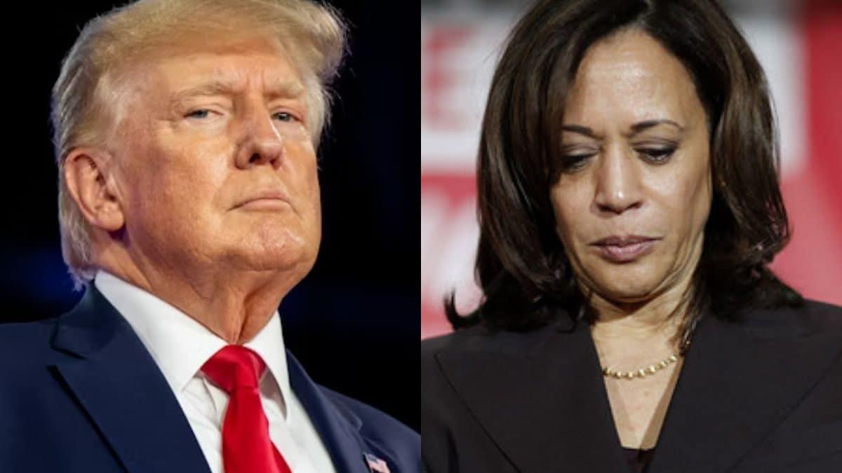 What Is Donald Trump's Victory Margin Over Kamala Harris In US Elections? Result Of Arizona Will