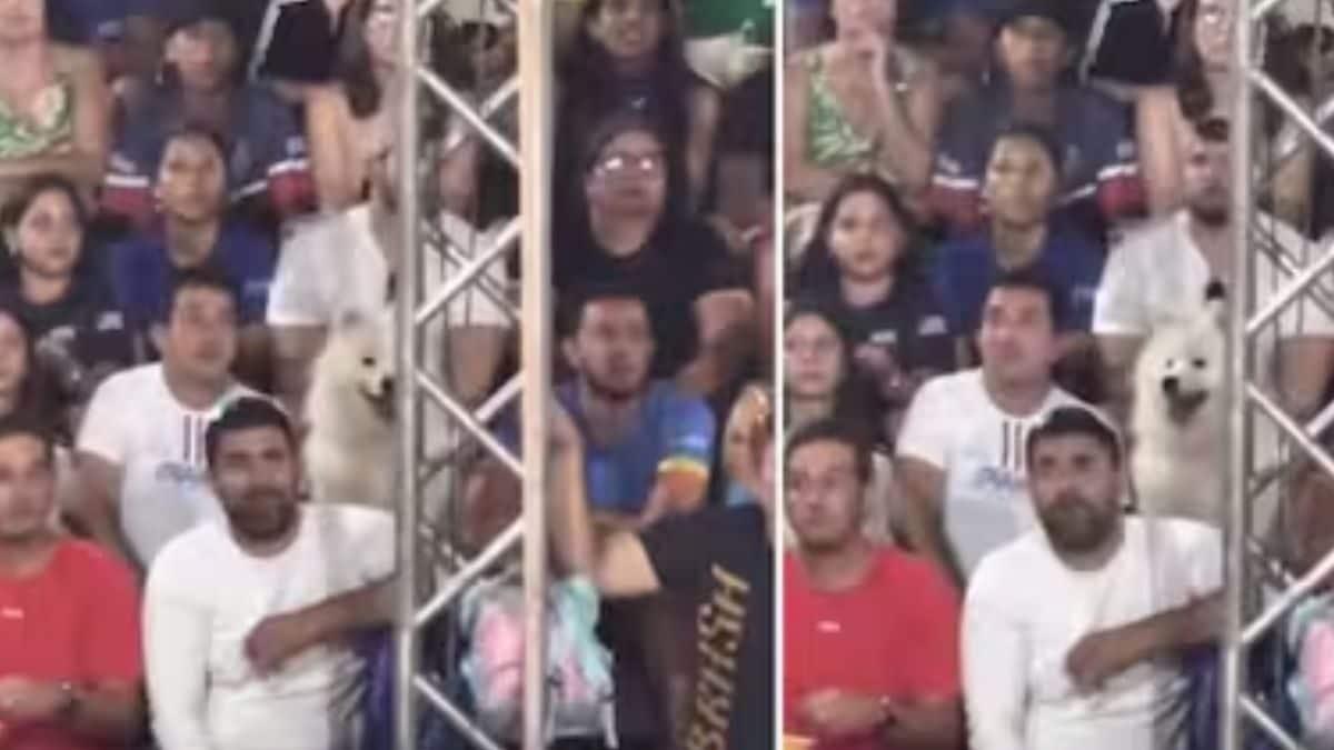 Watch: Dog Reacts Like Human During Live Tennis Match