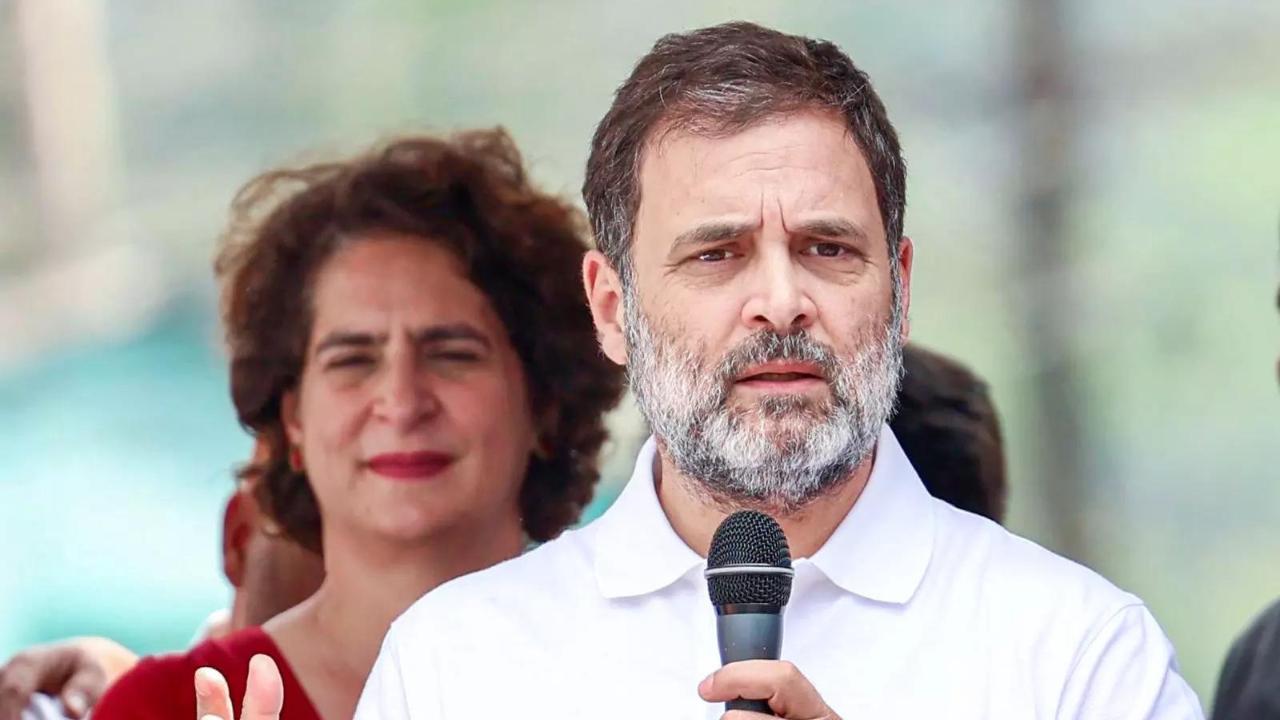 BJP complains to EC over Rahul's 'Constitution in danger' comment