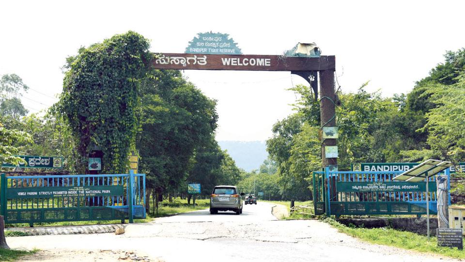 DKS for lifting of night traffic ban in Bandipur 